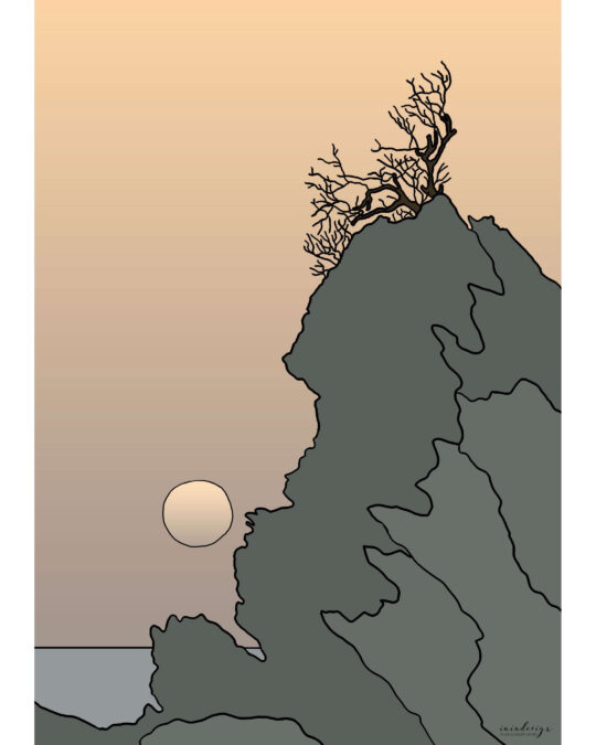Illustrazione di un ulivo secolare su una scogliera rocciosa al tramonto sul mare, un'icona della Costa Viola.