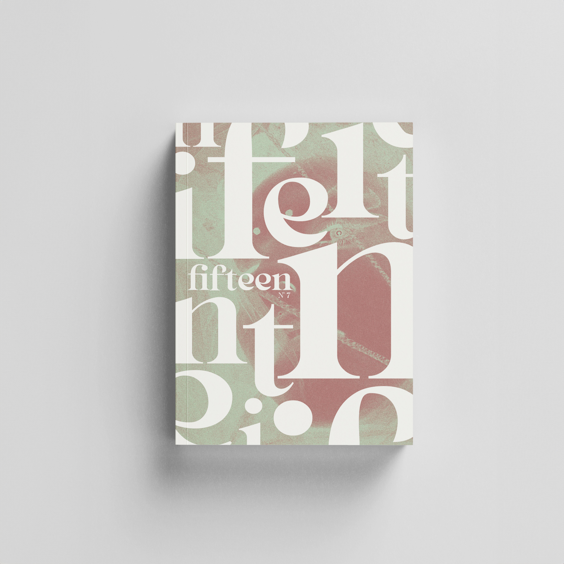 mockup-copertina-fifteen7
